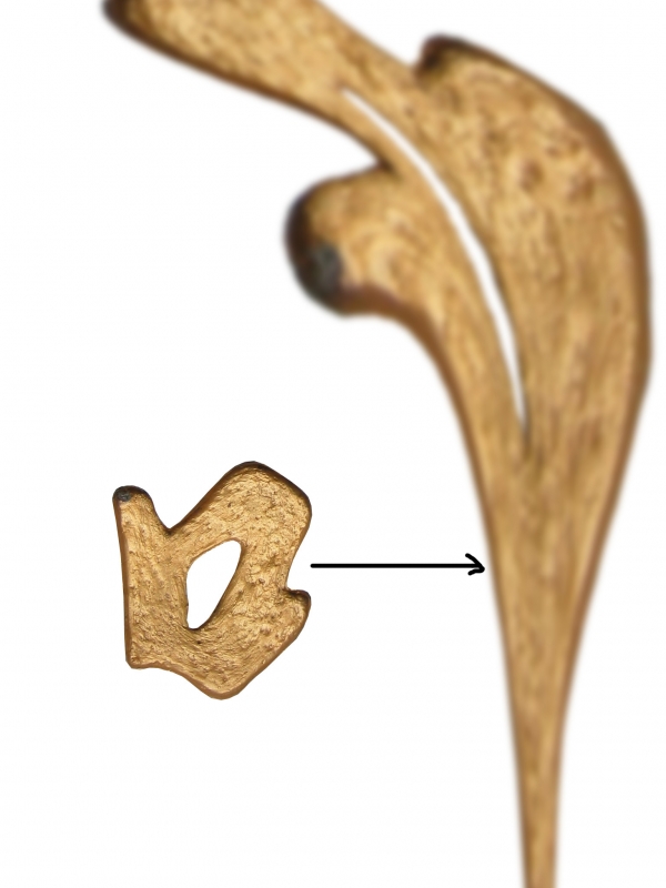 Creation of Blue Bird: Step 2